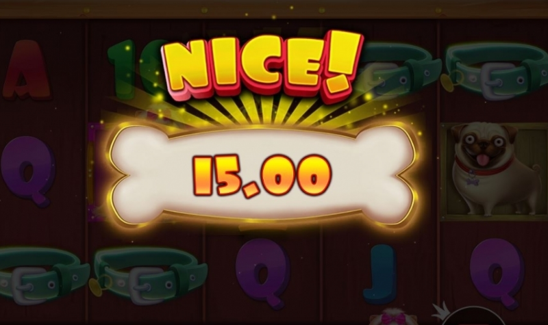 DOG HOUSE SLOT 